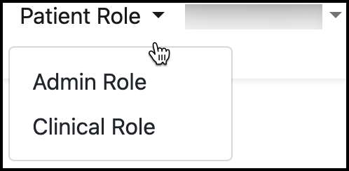 Screenshot of the roles button in the upper-right corner.