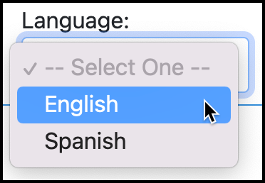 Screenshot of language selection dropdown.