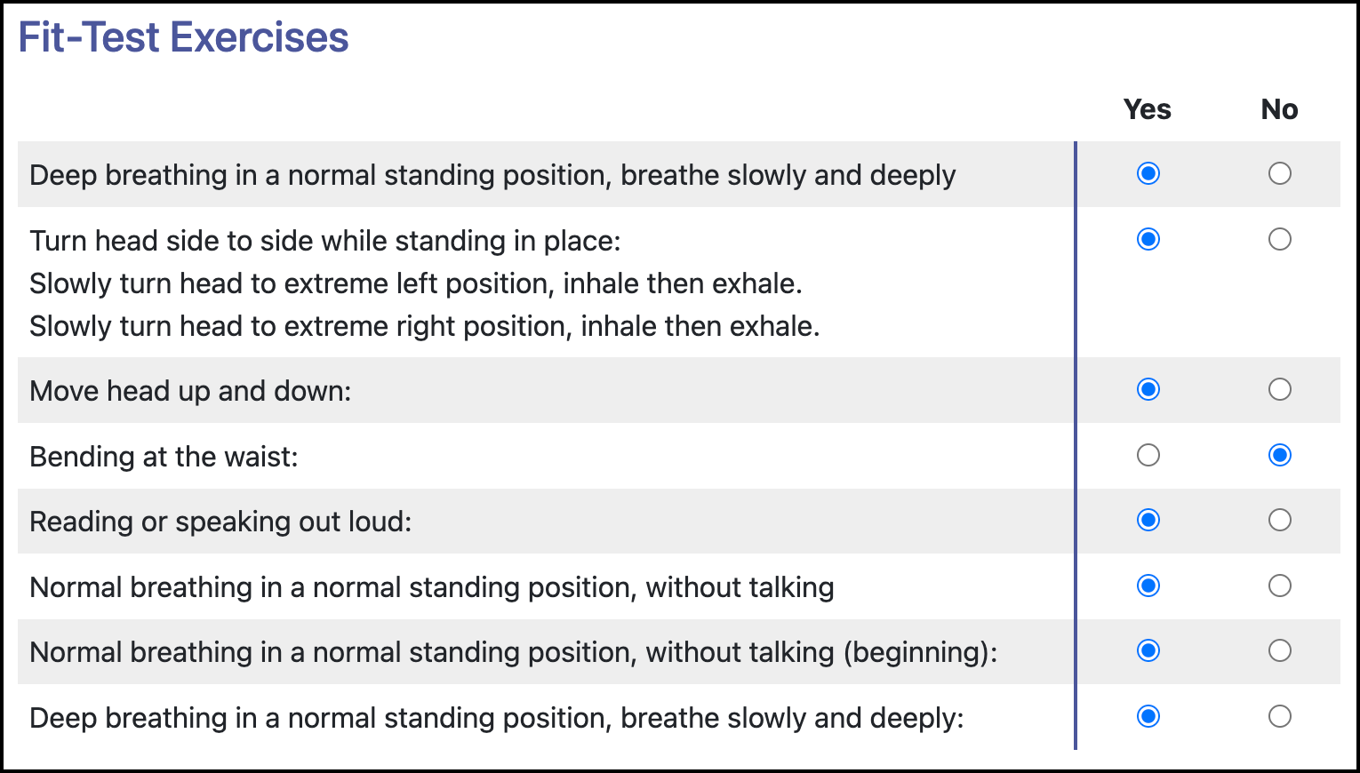 Screenshot of the qualitative fit test exercise questions.