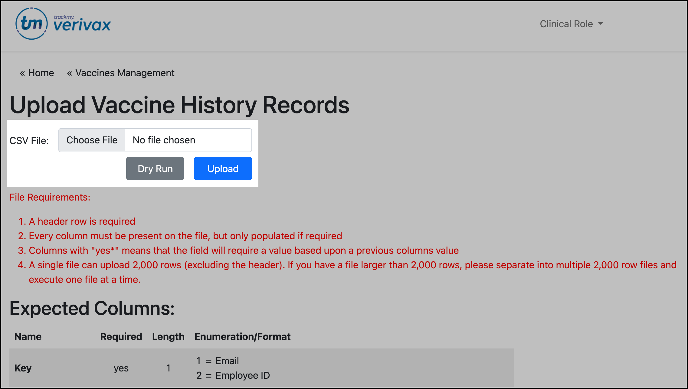 Screenshot Bulk Vaccine History File upload UI.
